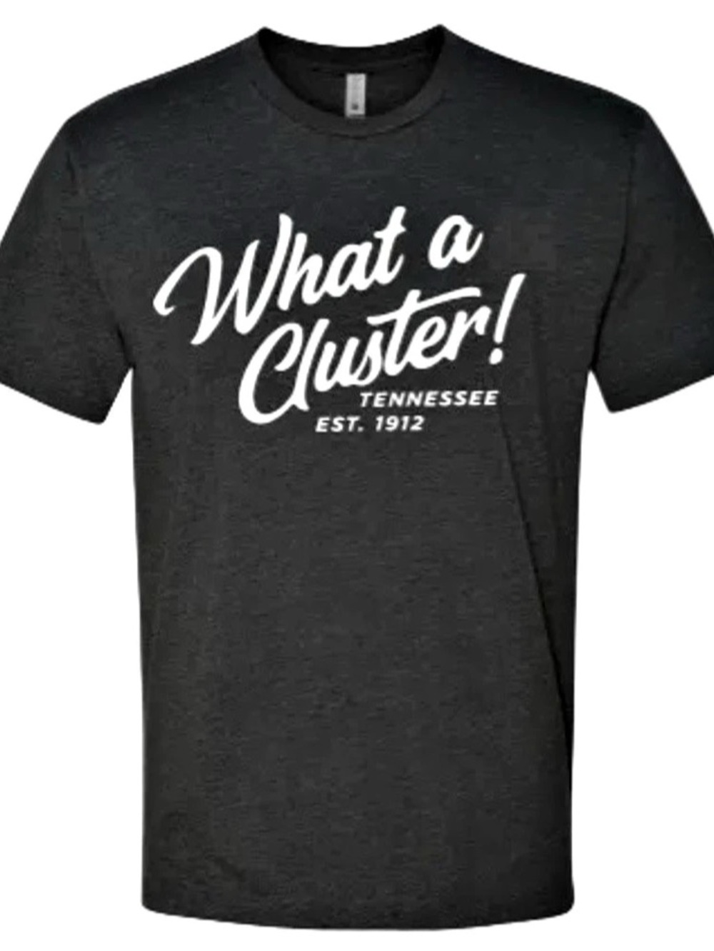 What a Cluster! GooGoo Cluster T-Shirt Graphic Tee Gray XL